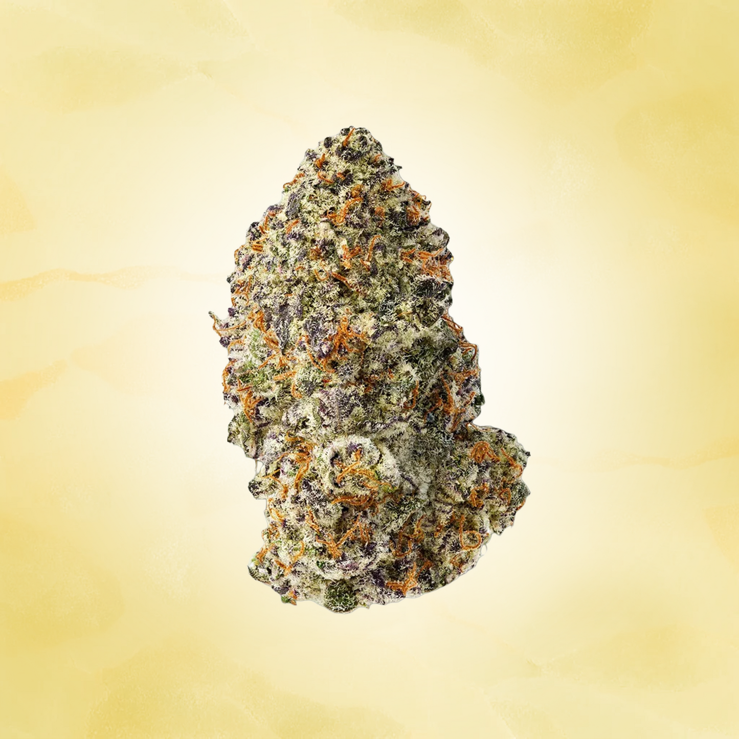 Hybrid • Purple Cloud (Exotic)