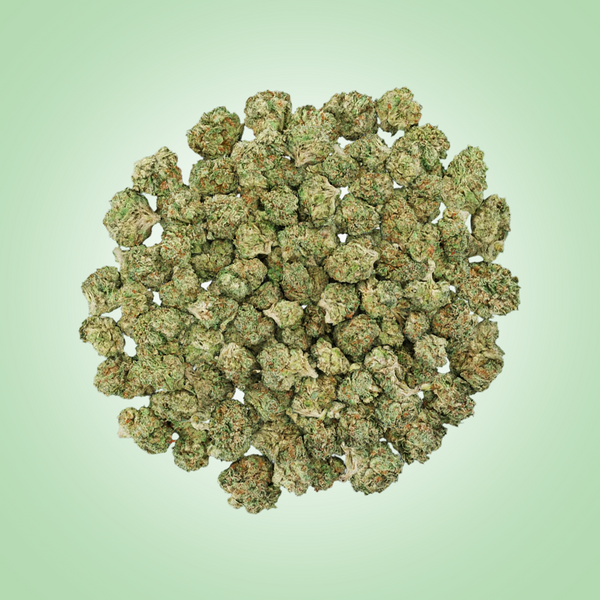 Indica • Biscotti (Smalls)