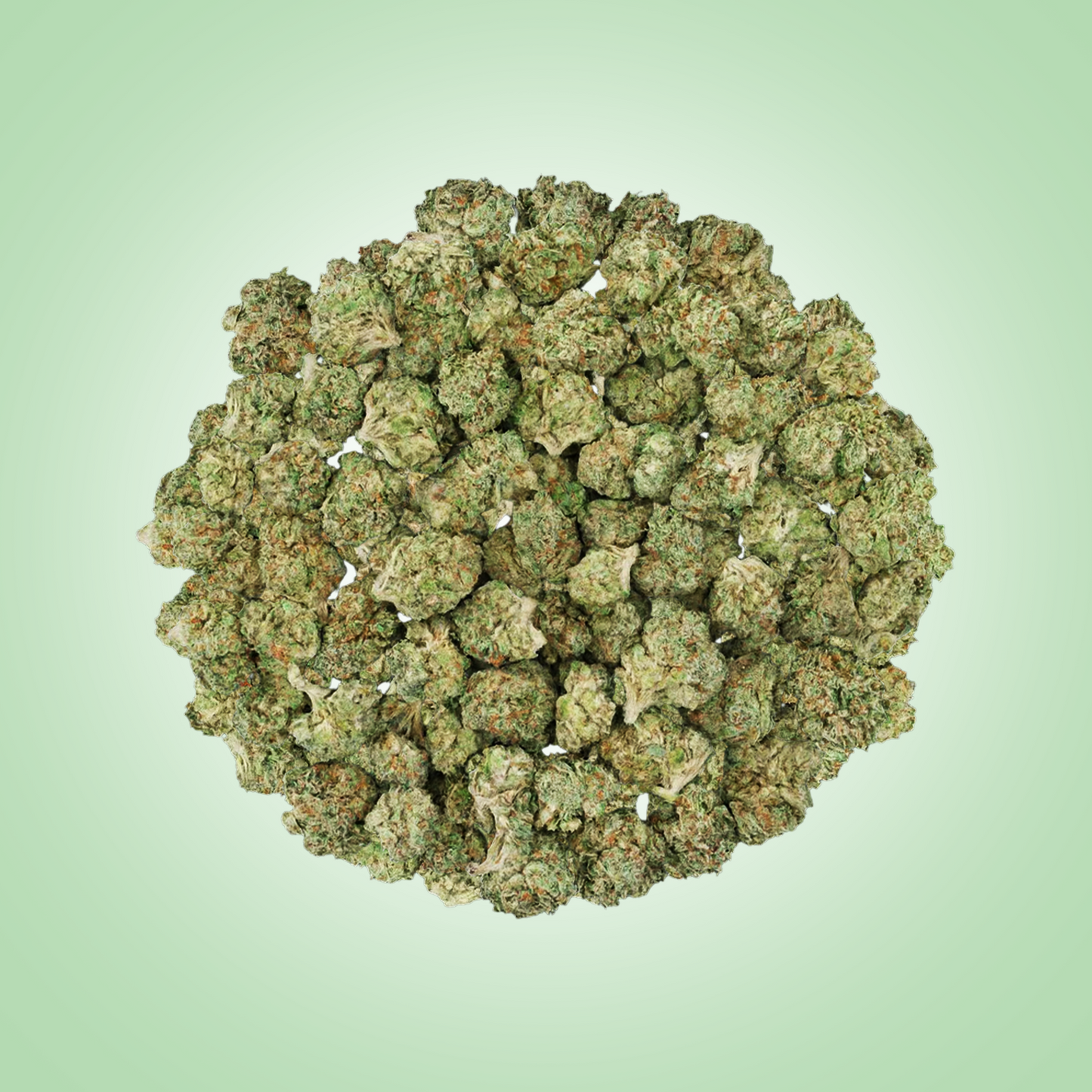 Sativa • RS-11 (Smalls)