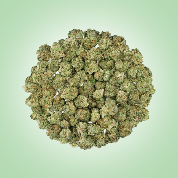 Sativa • RS-11 (Smalls)