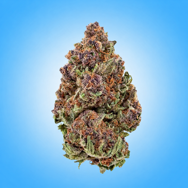 Hybrid • Crunch Berries (Premium Oz)