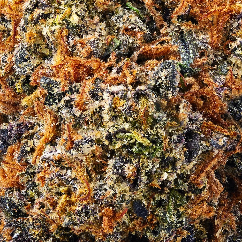 Indica • Pink Runtz (Premium)– ZENZURI