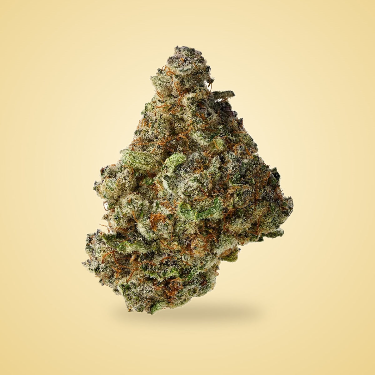 Acapulco Gold exotic THCA flower (Sativa)