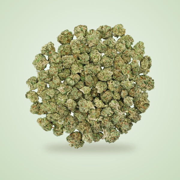 Biscotti THCA smalls (Indica)