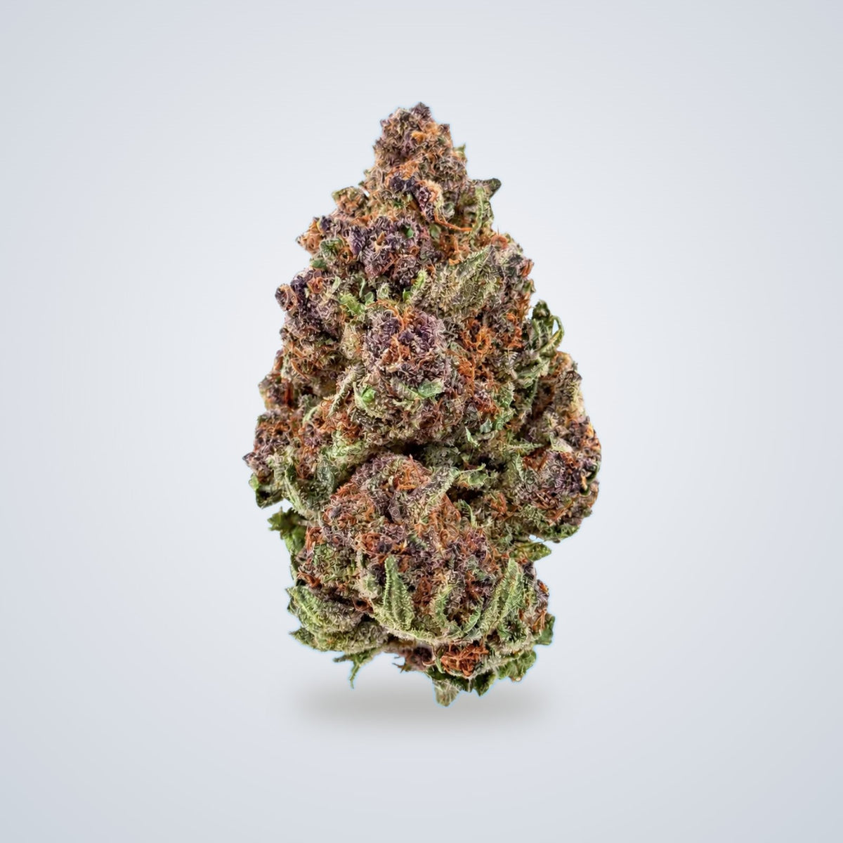 Crunch Berries premium THCA flower (Hybrid)