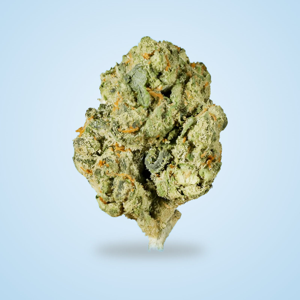 Momentum OG THCA flower ounce (Hybrid)