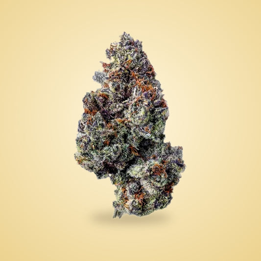 Opal Runtz exotic THCA flower (Hybrid)