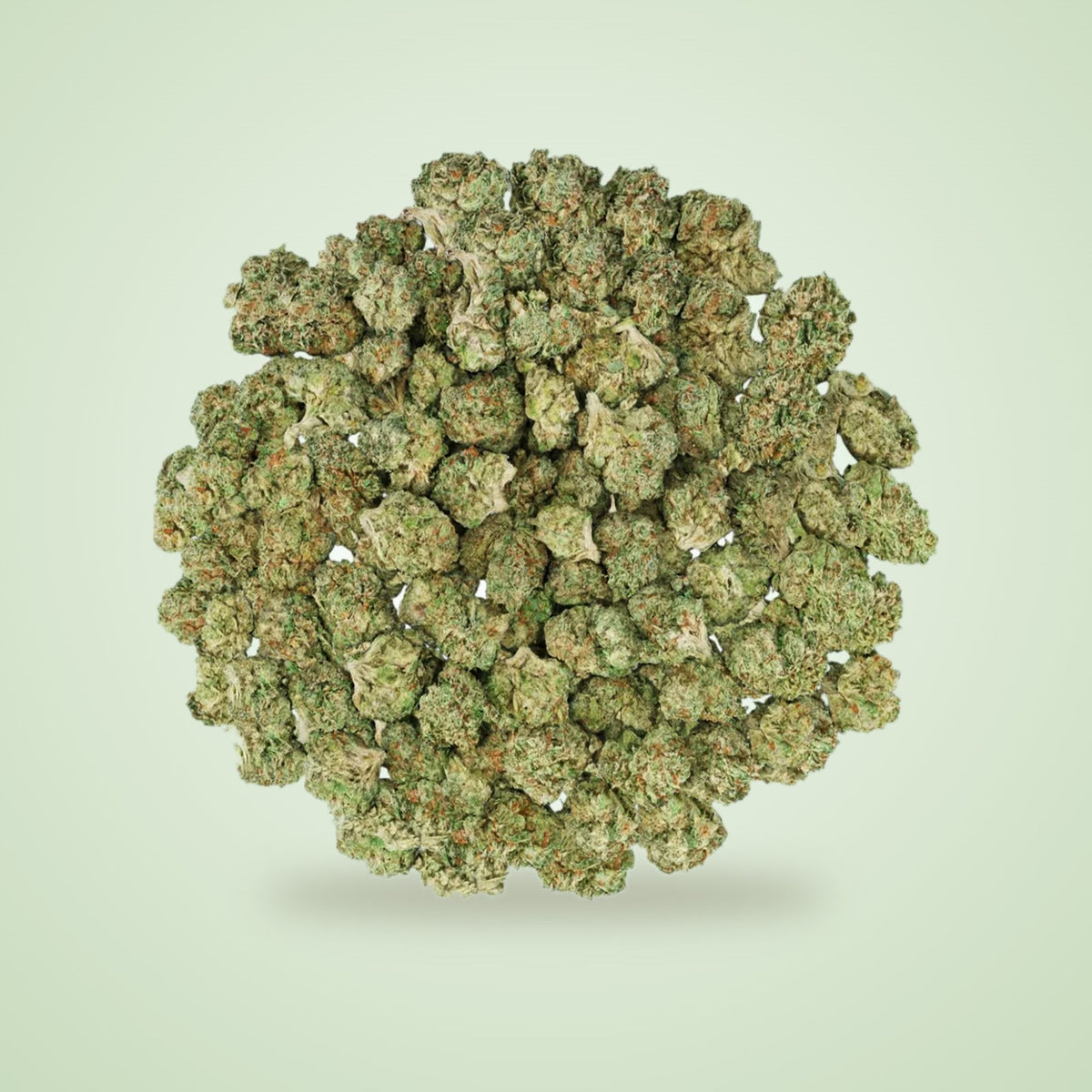 Trainwreck exotic THCA smalls (Sativa)