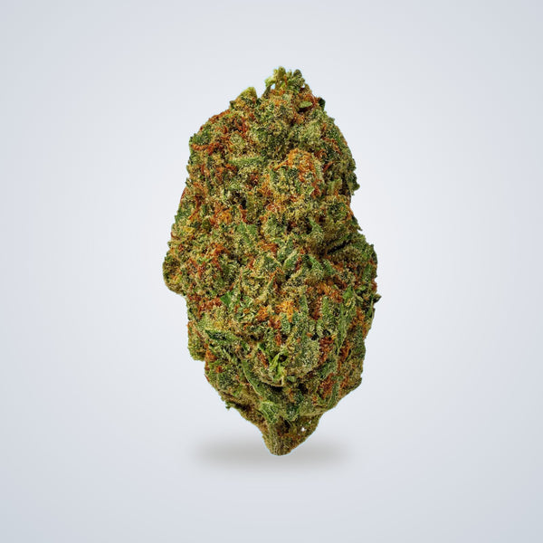 White Ember premium THCA flower (Sativa)