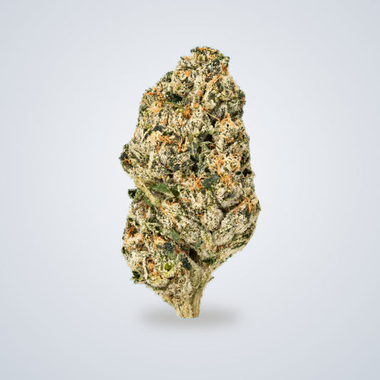 White Ember premium THCA flower (Sativa)