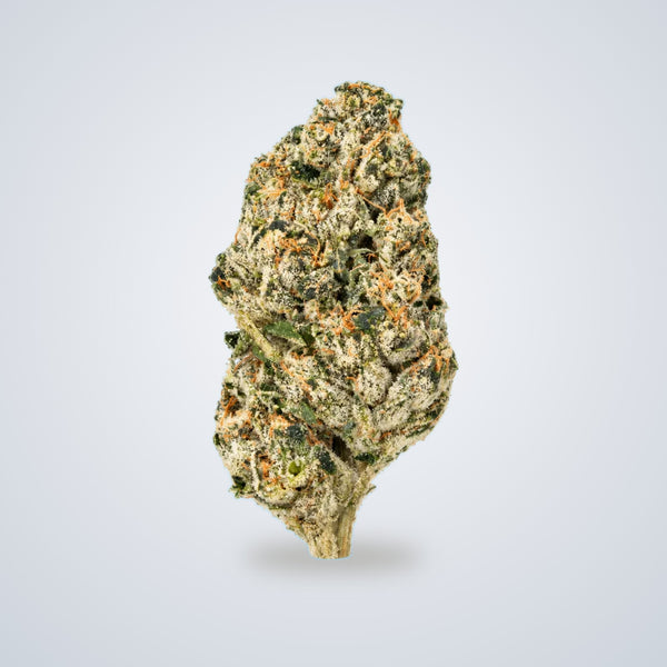 White Ember premium THCA flower (Sativa)