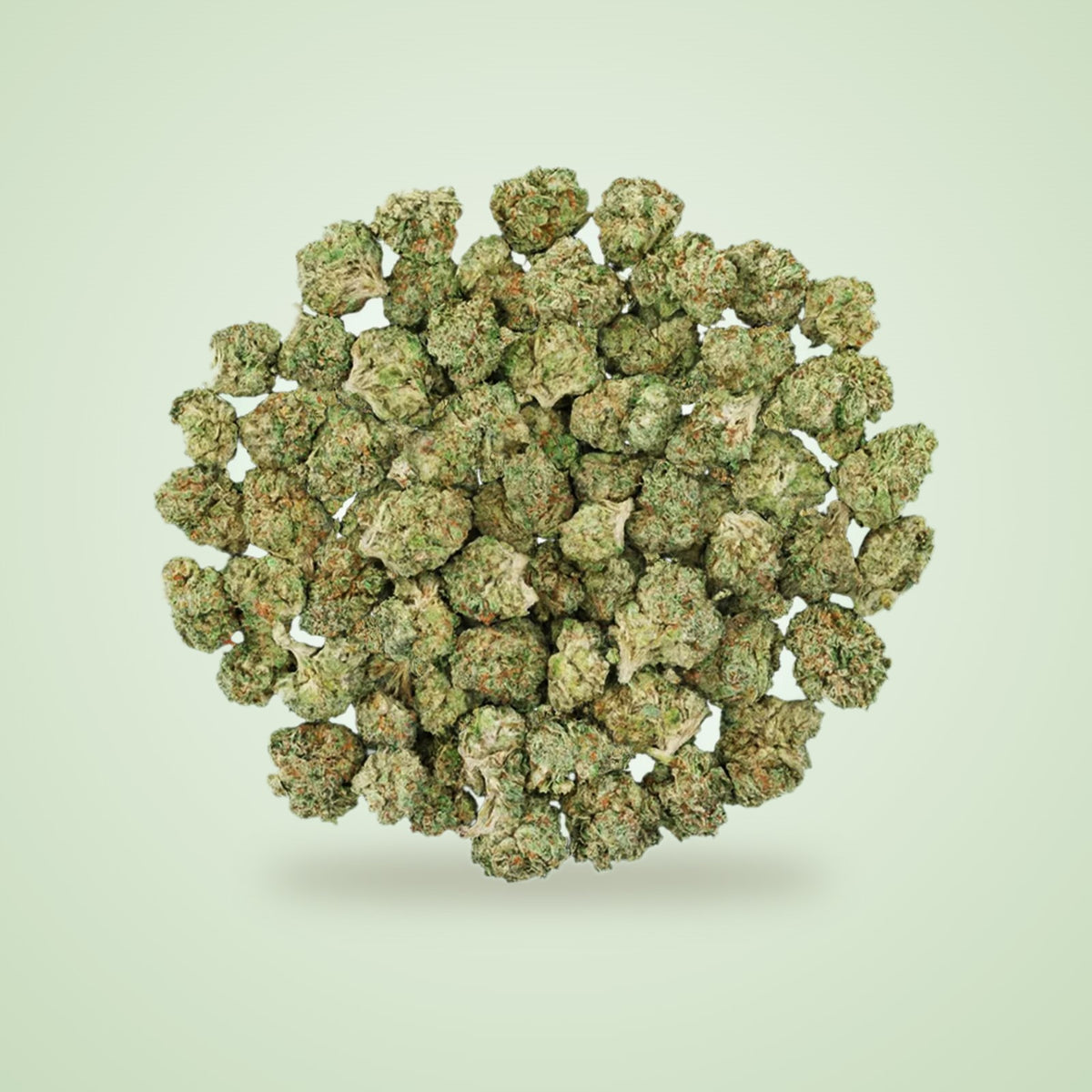 Zelato THCA smalls (Hybrid)